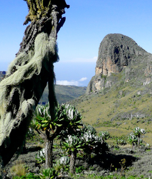 Mount Elgon National Park