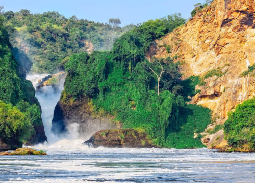 3 DAYS MURCHISION FALLS NATIONAL PARK SAFARI